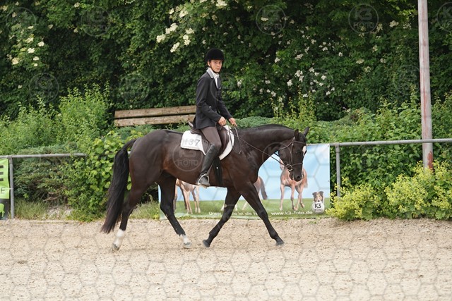 sA9K09950.JPG